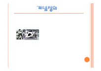 [국가현상] 이행사회 민주화와 재권위주의화-3