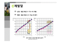 [인간행동과 사회환경] 아동기발달-4