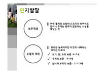 [인간행동과 사회환경] 아동기발달-18
