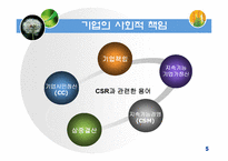 [사회조직론] 기업의 사회적 책임(정부와기업관계)-5