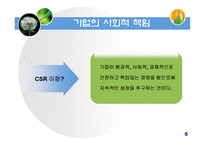 [사회조직론] 기업의 사회적 책임(정부와기업관계)-6