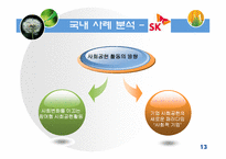 [사회조직론] 기업의 사회적 책임(정부와기업관계)-13