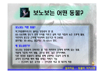 [말과마음] 동물의 의사소통-2