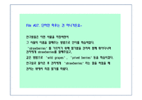 [말과마음] 동물의 의사소통-5