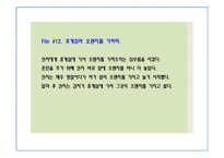 [말과마음] 동물의 의사소통-6
