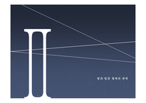 [범죄와 사회] 비판 범죄학을 통해 바라본 국가권력과 범죄통제-13