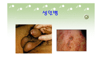 [사랑의사회학] 유아기 청소년기 성인기의 성에대한 인식-14