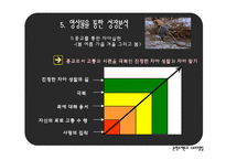 [문학주제론과 스토리텔링] 성장영화를 통해본 성장의 성숙과 고통-7