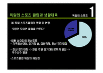[독일문화의 이해] 독일의 대중문화-7
