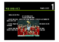 [독일문화의 이해] 독일의 대중문화-10