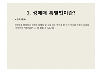 [여성인권] 성매매 특별법-3