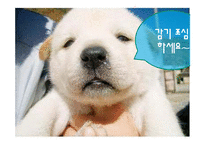 [인터넷윤리] 인터넷중독(청소년음란물중독)-18