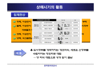 [정치외교] 대한민국 임시정부의 의의와 한계-10