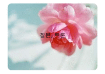 [정치외교] 반미연대를 강화하는 중러관계-13