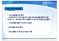[중국비지니스] SK의 중국진출-6
