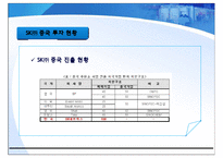 [중국비지니스] SK의 중국진출-8