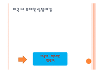 [국제인권] 미국 내 유대인의 영향력과 재미한인단체에 주는 시사점-14