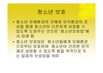 [청소년교육론] 청소년문제와 보호-4