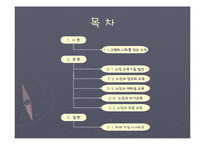 [정보사회] 정보화시대 노인교육의 현황과 미래-3