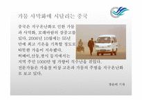 [환경과문학] 지구온난화로인한 이상현상과 대처방안-5