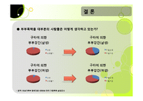 [결혼학개론] 부부폭력-12