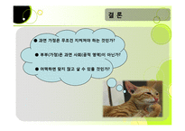 [결혼학개론] 부부폭력-14