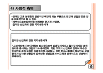 [사회불평등] 국내 장애인 고용불평등의 실태와 원인분석-17