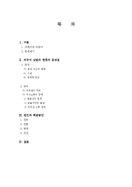 [국어정서법] 외국어남발의 문제점과 이로 인한 의사소통의 문제점 및 해결방안-2