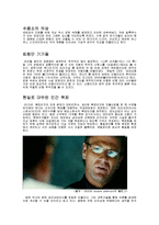[국어작문] 아일랜드-2