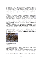 [문학주제론과 스토리텔링] 성장영화를 통해본 성장의 성숙과 고통-6