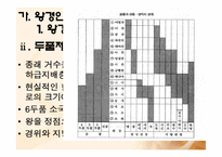 [한국고대사] 삼국의 신분구조-5