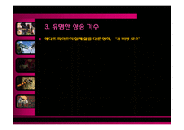 [프랑스문화기행] 프랑스의 전통음악-샹송-14