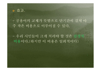 [현대언어] 영어공용화와 국한혼용에 대한 심화학습-10