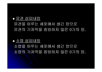 [인체와 생리] 유방암-9