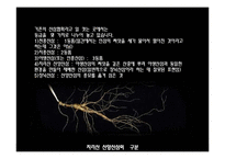 [경영,] 산삼 레포트-4