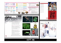 [경영,] 산삼 레포트-11