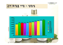 [마케팅] [마케팅관리]더페이스샵 마케팅전략 분석 및 차별화전략(A+리포트)-5