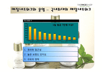 [마케팅] [마케팅관리]더페이스샵 마케팅전략 분석 및 차별화전략(A+리포트)-11