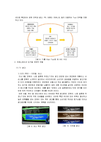 [마케팅] [마케팅조사]종합식품브랜드 ‘청정원’ 마케팅전략 및 커뮤니케이션전략(A+리포트)-8