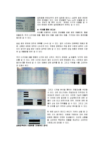 [경영학] [유통관리론]프랜차이즈 유통관리 사례분석 - 던킨도너츠(A+리포트)-9