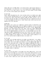 [경영학] [e비즈니스](주)다음커뮤니케이션 경영전략 분석 및 향후 e비즈니스전략(A+리포트)-13