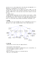 [경영학] [전략경영론]오리온그룹 경영전략 사례분석(A+리포트)-19