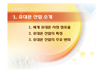 [마케팅] [브랜드마케팅]휴대폰산업분석 및 삼성 `애니콜` 마케팅전략(A+리포트)-3