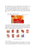 [경영학] [국제경영론]농심 `신라면` 해외진출전략 분석(A+리포트)-18