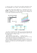 [경영학] [국제경영론]농심 `신라면` 해외진출전략 분석(A+리포트)-19