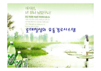 [경영학] [유통관리론]국내 음료시장 현황 및 `롯데칠성` 유통전략 분석(A+리포트)-1