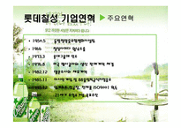 [경영학] [유통관리론]국내 음료시장 현황 및 `롯데칠성` 유통전략 분석(A+리포트)-5