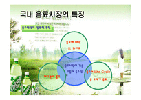 [경영학] [유통관리론]국내 음료시장 현황 및 `롯데칠성` 유통전략 분석(A+리포트)-12