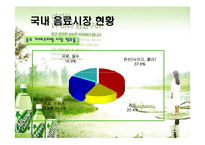[경영학] [유통관리론]국내 음료시장 현황 및 `롯데칠성` 유통전략 분석(A+리포트)-13