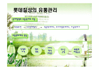 [경영학] [유통관리론]국내 음료시장 현황 및 `롯데칠성` 유통전략 분석(A+리포트)-17